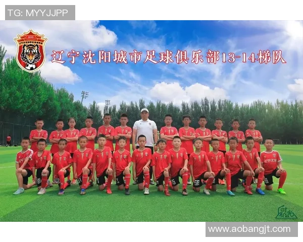 辽宁沈阳籍足球明星的辉煌历程与成就回顾 辽宁沈阳籍足球明星的辉煌历程与成就回顾