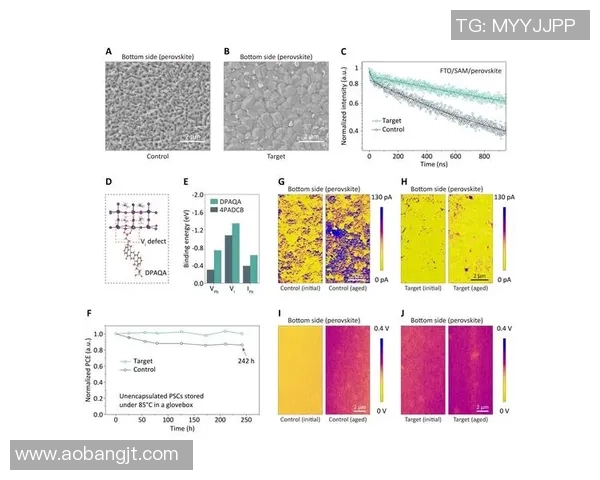 南京足球队在世界锦标赛中的团队协作表现分析与点评