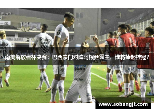 南美解放者杯决赛：巴西豪门对阵阿根廷霸主，谁将捧起桂冠？