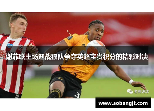 谢菲联主场迎战狼队争夺英超宝贵积分的精彩对决