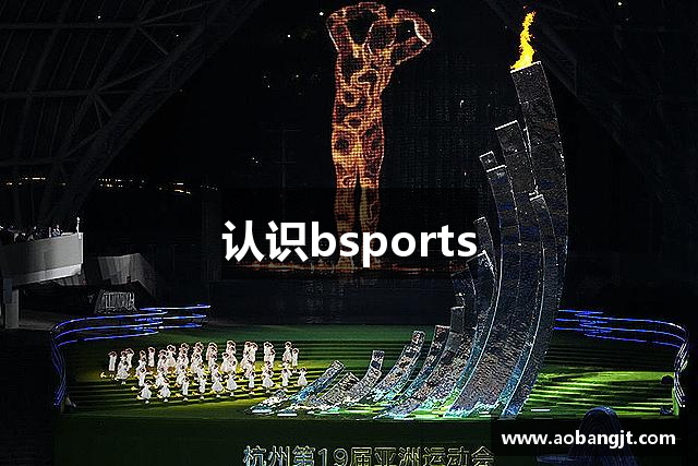 认识bsports